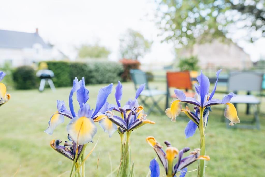 Déols Le Beaumont • La Belle Campagne • La Plenitudeヴィラ エクステリア 写真